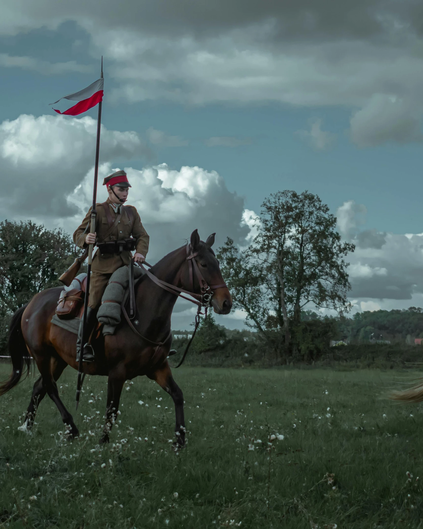 a man riding on the back of a brown horse, a colorized photo, by Adam Marczyński, pexels contest winner, poland flag, war theatre, in the countryside, ( ( theatrical ) )