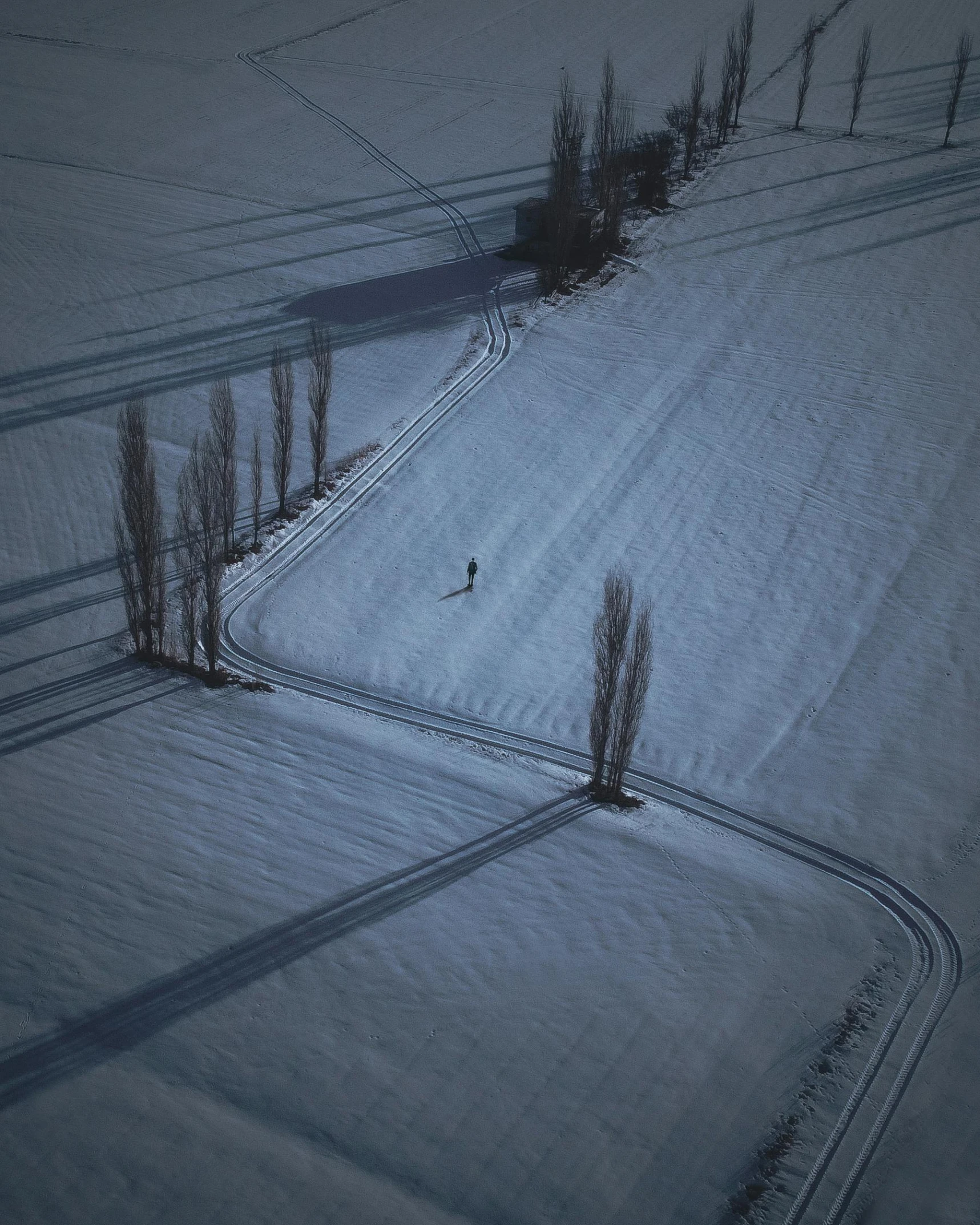 a lone person walking across a snow covered field, pexels contest winner, land art, skiing, arial shot, lights and shadows, under the soft shadow of a tree