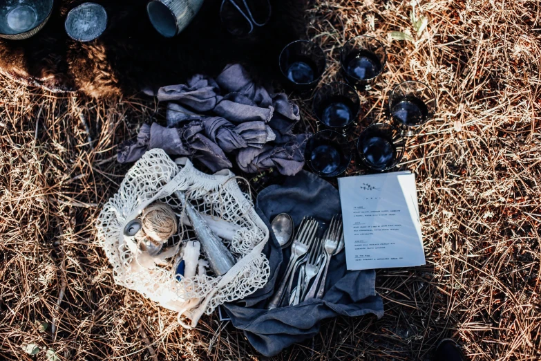 a couple of silverware sitting on top of a field, a portrait, unsplash, baroque, linen, ritual in a forest, black, grey