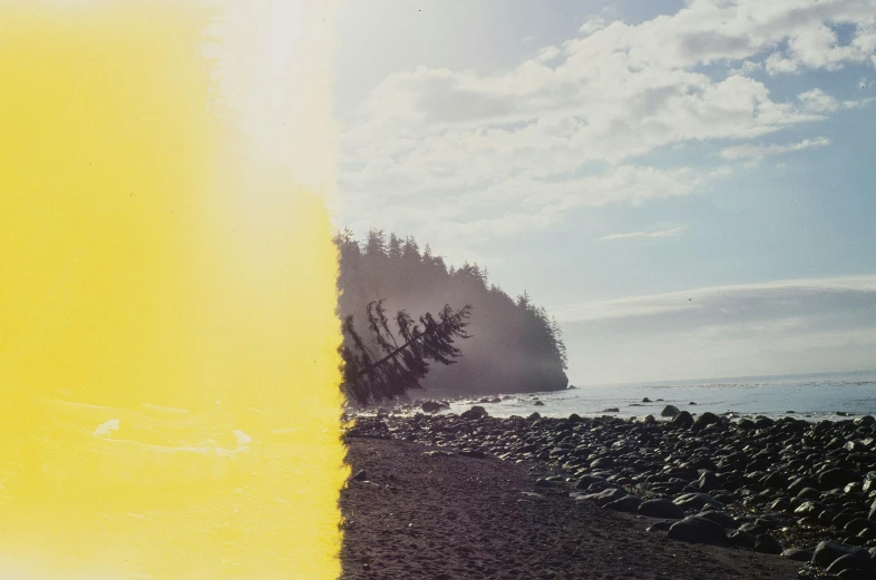 a man riding a surfboard on top of a sandy beach, a polaroid photo, inspired by Elsa Bleda, unsplash, land art, with a bright yellow aureola, black fir, haida gwaii, vibrant cmyk dye overpainting