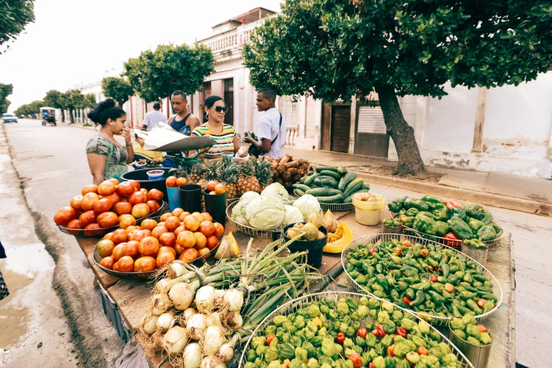 a group of people standing around a table full of fruits and vegetables, by Ceferí Olivé, unsplash, cuban setting, on a sunny day, 🦩🪐🐞👩🏻🦳, madagascar