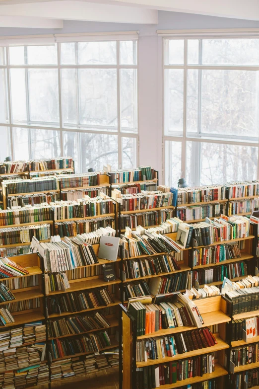 a large library filled with lots of books, unsplash contest winner, big windows, textbooks and books, finland, overview