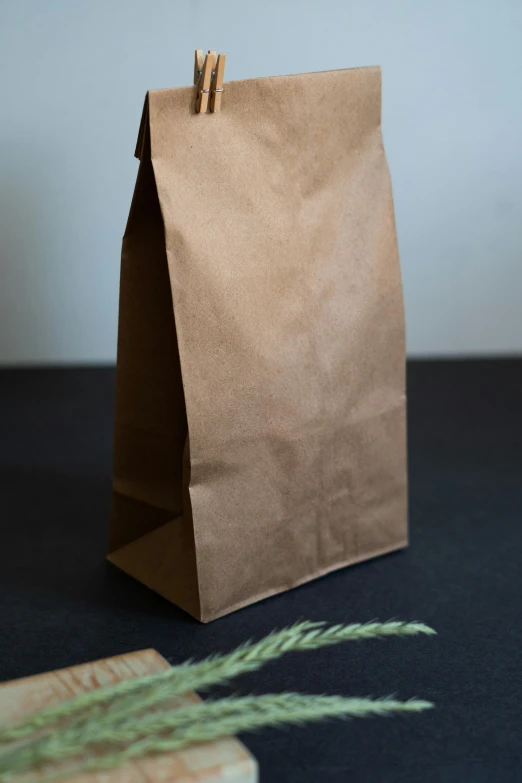 a brown paper bag sitting on top of a table, dried fern, product image, dark backdrop, modeled