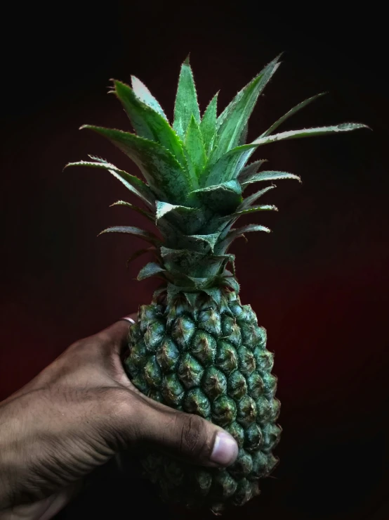 a person holding a pineapple in their hand, an album cover, by Adam Marczyński, unsplash, hyperrealism, multiple stories, jamaican, close up portrait photo, 🍸🍋