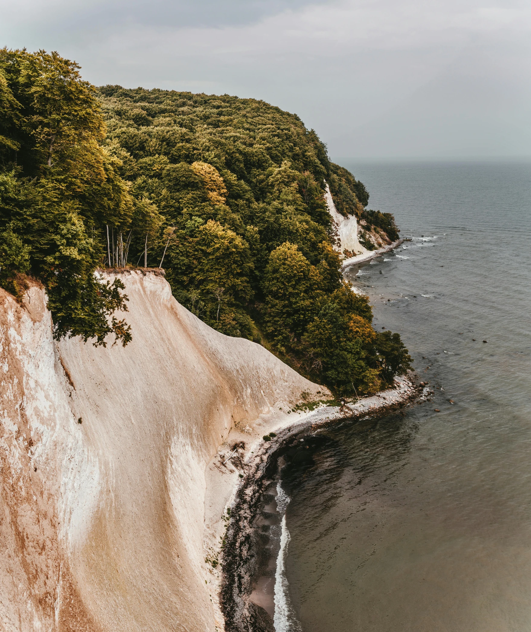 a man standing on top of a cliff next to the ocean, by Sebastian Spreng, pexels contest winner, german romanticism, chalk cliffs above, hill with trees, brown, viewed from bird's-eye