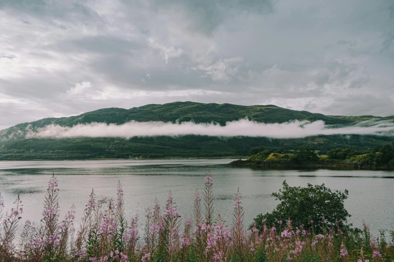 a large body of water next to a lush green hillside, an album cover, pexels contest winner, hurufiyya, pink and grey clouds, scottish, little fog, flowers around