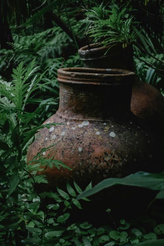 a large vase sitting in the middle of a lush green forest, unsplash, environmental art, rusted junk, ceramic pot, low-light, ((rust))