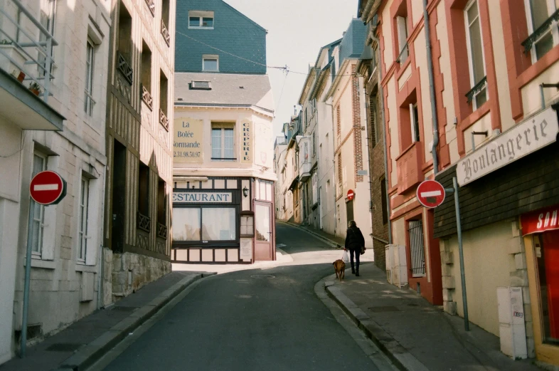 a person walking a dog down a narrow street, a polaroid photo, pexels contest winner, paris school, small town surrounding, ignant, normandy, still from a wes anderson movie