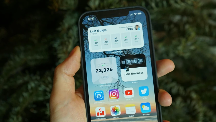 a person holding a cell phone in their hand, trending on pexels, shot on iphone 1 3 pro, with lots of text and icons, next to a tree, stats