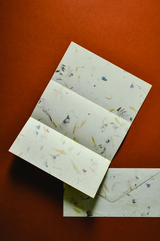 a folded piece of paper sitting on top of a table, by Jessie Algie, private press, dried petals, three, thumbnail, spatter