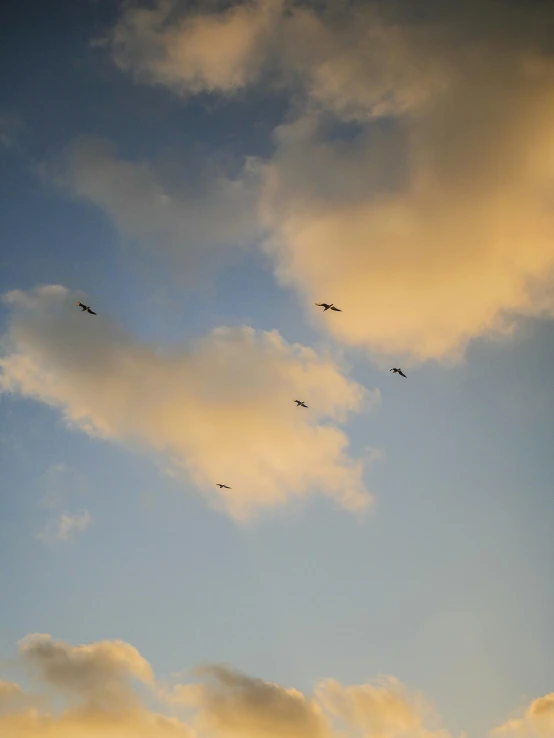 a group of birds flying through a cloudy sky, unsplash, hurufiyya, late summer evening, helicopters, # nofilter, cinematic shot ar 9:16 -n 6 -g