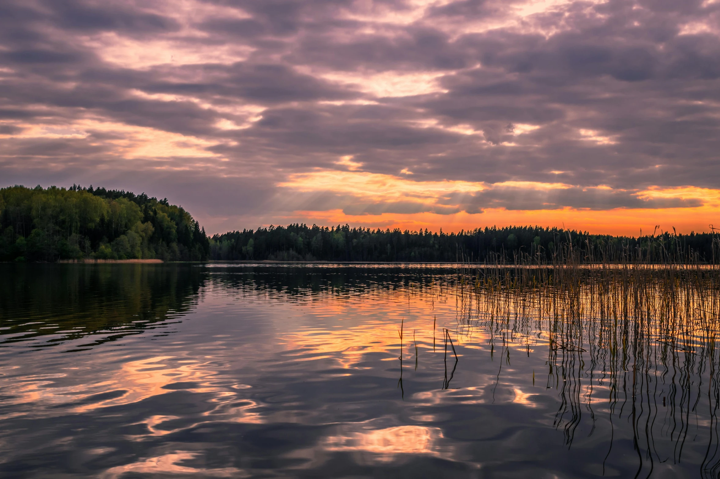 a body of water surrounded by trees under a cloudy sky, by Jaakko Mattila, pexels contest winner, romanticism, sunset panorama, fan favorite, pink skies, hd footage