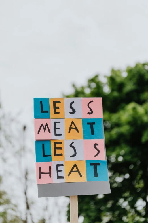 a person holding a sign that says less meat less head, by Jesse Richards, pexels contest winner, letterism, heat wave, outdoor art installation, tetris, multi - coloured