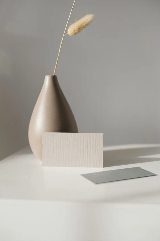 a brown vase sitting on top of a white table, minimalism, business card, taupe, multiple stories, pearlized