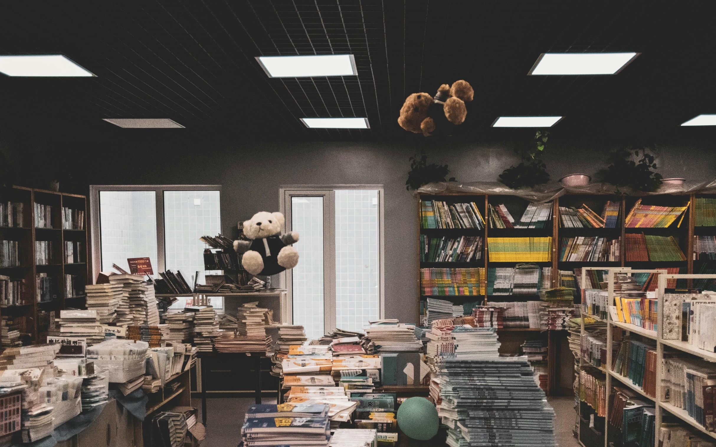 a room filled with lots of books and stuffed animals, unsplash contest winner, storefront, long shot view, thumbnail, low ceiling