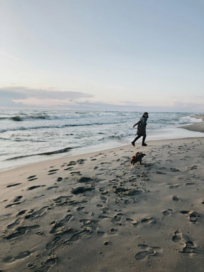 a person walking a dog on a beach, by Jan Tengnagel, pexels contest winner, happening, running freely, trending on vsco, low quality photo, long distance photo