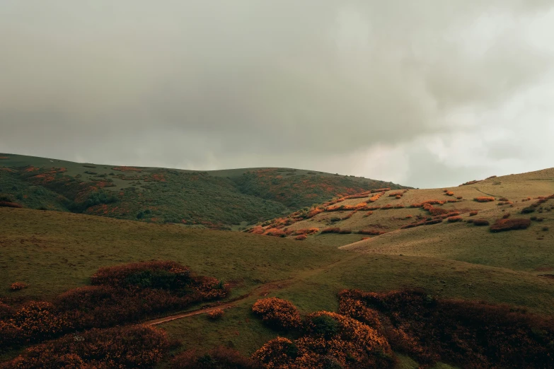 a person flying a kite on top of a lush green hillside, by Emma Andijewska, unsplash contest winner, color field, dark grey and orange colours, late autumn, overcast, panoramic shot