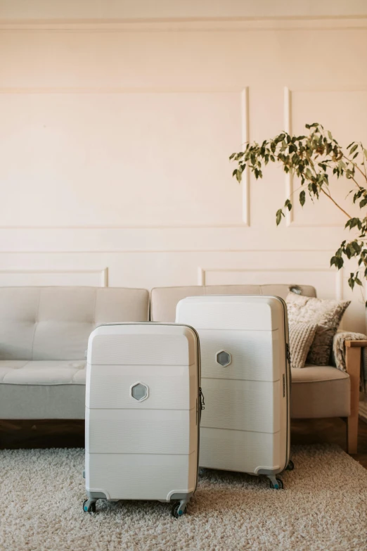 a living room with a couch and two suitcases, by Anita Malfatti, reddit, white plastic, high quality product photo, soft light from the side, large tall