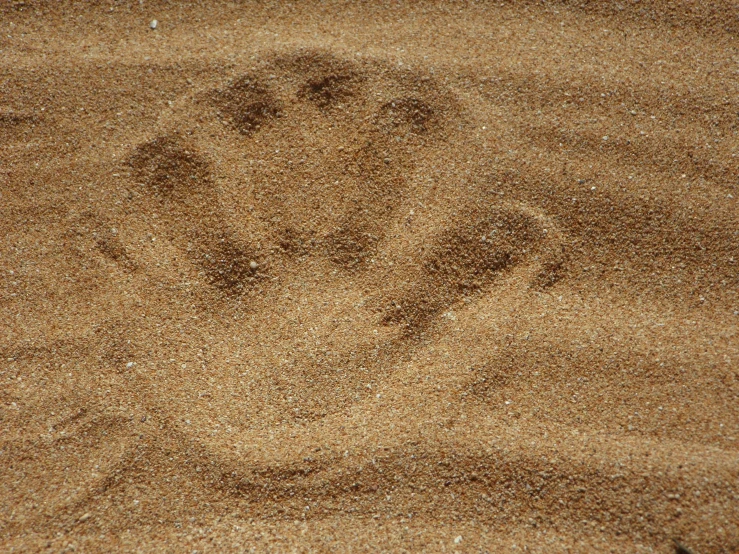 a hand print in the sand of a beach, a stipple, by Caroline Mytinger, pixabay, land art, bear, sand cat, matisse, masterpiece ”