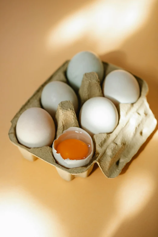 a carton filled with eggs sitting on top of a table, white and orange, chicken, thumbnail, single light