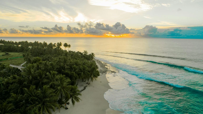 an aerial view of a beach with palm trees, pexels contest winner, sunset with cloudy skies, mariana trench, maldives in background, tsunami