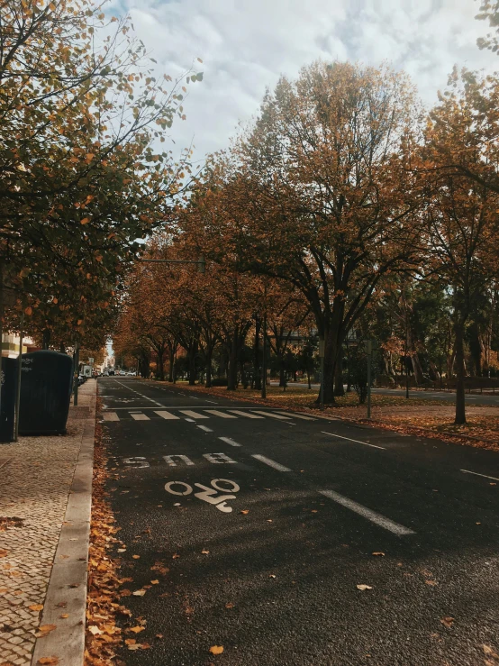 a couple of trash cans sitting on the side of a road, by Matija Jama, pexels contest winner, realism, maple trees along street, gui guimaraes, seasons!! : 🌸 ☀ 🍂 ❄, trending on vsco