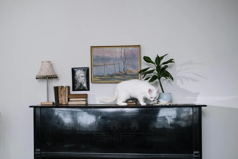 a white cat sitting on top of a piano, by Emma Andijewska, visual art, black furniture, scratches on photo, home display, rectangle