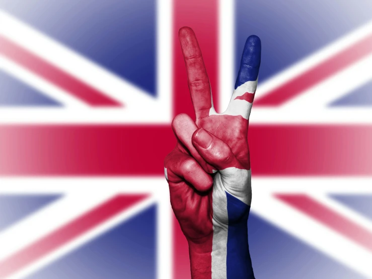 a hand with a peace sign painted on it, by Romain brook, pixabay, union jack, hawaii, standing triumphant and proud, profile image