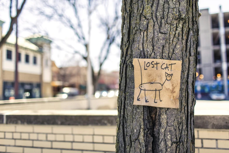 a sign attached to a tree on a city street, an album cover, by Julia Pishtar, unsplash, street art, an anthro cat, wood burn, stick figure, photograph credit: ap