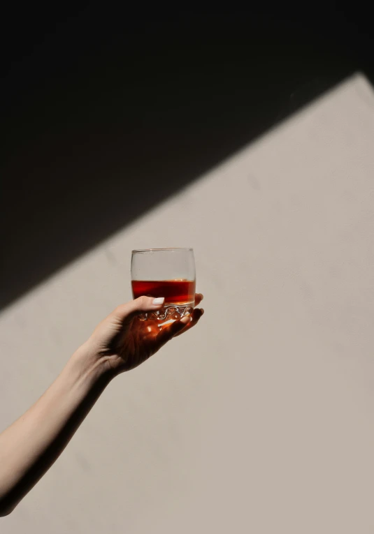 a person holding a glass of wine in their hand, pexels contest winner, visual art, minimalistic aesthetics, drinks bourbon, instagram post, half in shadow