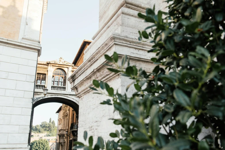 a couple of people that are standing in front of a building, by Giuseppe Avanzi, unsplash contest winner, neoclassicism, archways made of lush greenery, view from the side, parce sepulto, teaser