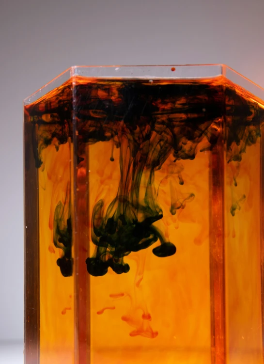 a glass filled with liquid sitting on top of a table, an abstract sculpture, reddit, conceptual art, liquid translucent amber, superfine ink detail, bottom - view, translucent algae ornate