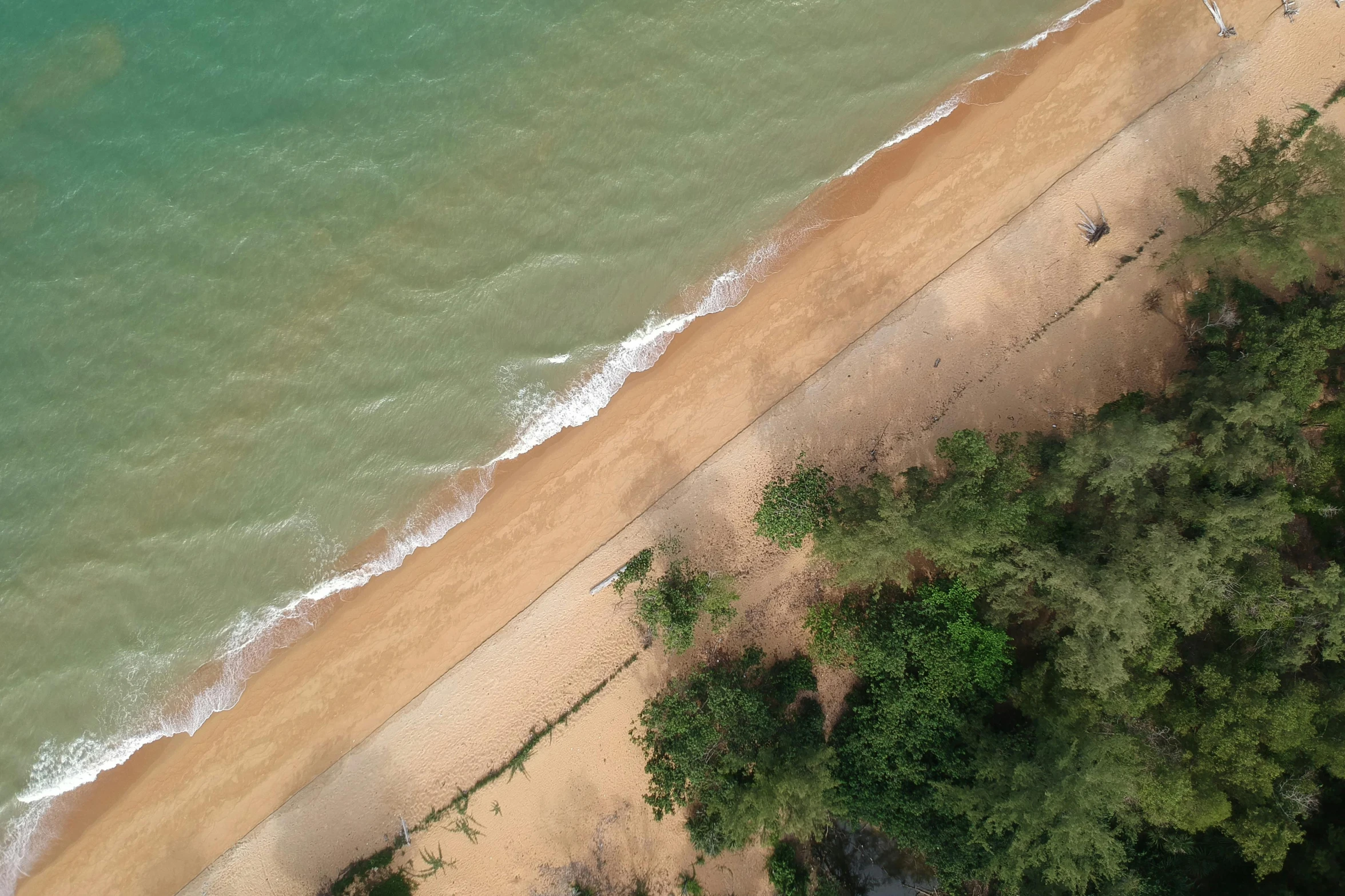 an aerial view of a beach and the ocean, by Romain brook, pexels contest winner, realism, laos, brown, realistic depth, a green