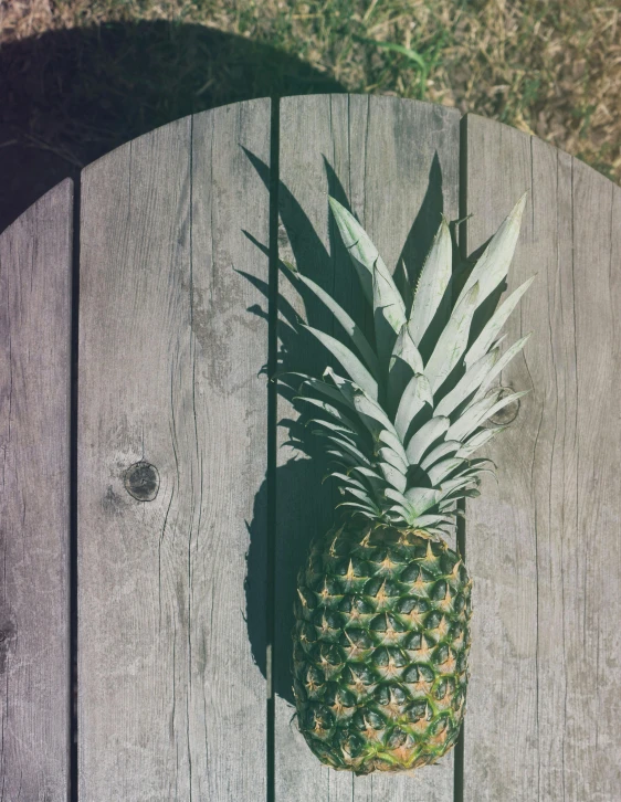 a pineapple sitting on top of a wooden table, sitting on a bench