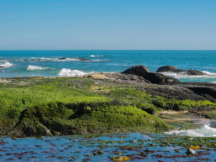 a man standing on top of a rock next to the ocean, les nabis, greens and blues, barnacle, pch, sunny day at beach