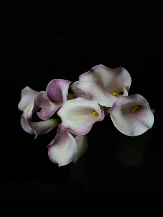 a bunch of flowers sitting on top of a table, a colorized photo, inspired by Carpoforo Tencalla, unsplash, hyperrealism, against a deep black background, pastel', made of glazed, shot on sony a 7