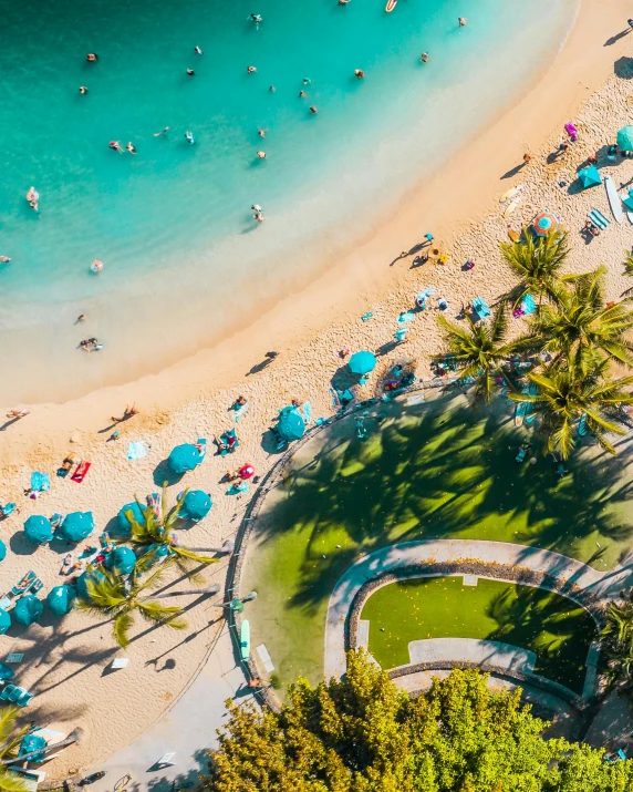 an aerial view of a beach with palm trees, by Drew Tucker, pexels contest winner, people with umbrellas, turquoise gradient, hawaii, thumbnail