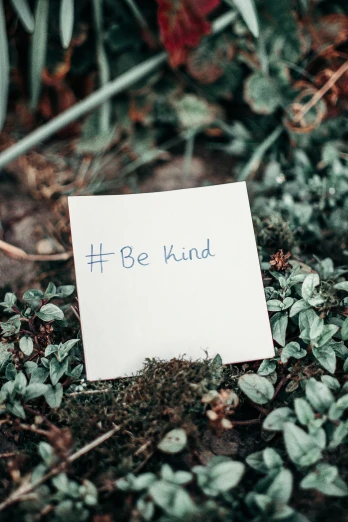 a piece of paper with the word be kind written on it, by Niko Henrichon, trending on unsplash, biodiversity, instagram picture, paul barson, hashtags