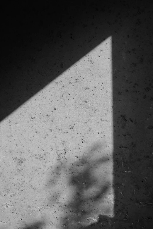 a black and white photo of a shadow of a plant, unsplash, light and space, made of cement and concrete, sun glare, [ realistic photography ], ignant
