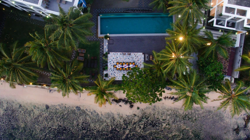 an aerial view of a beach with palm trees, a portrait, backyard, evening time, beachfront, swim suite