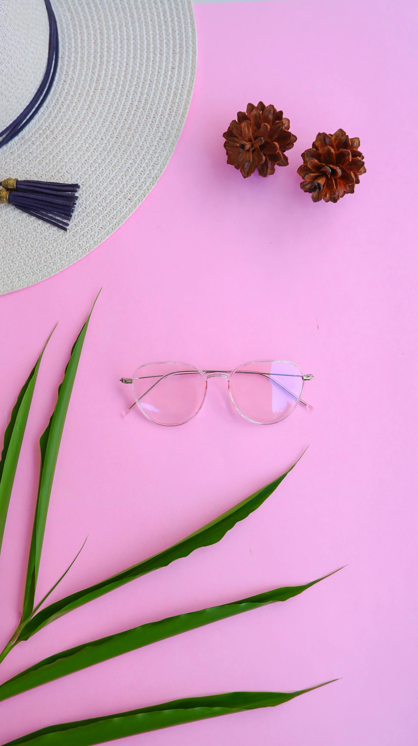 a hat, sunglasses and palm leaf on a pink background, a picture, inspired by Leo Leuppi, pexels, small square glasses, 1 8, transparent, silver glasses