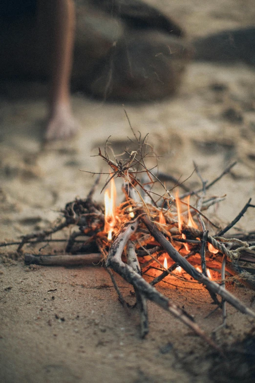 a person standing next to a fire on a beach, pexels contest winner, land art, tiny sticks, intense flirting, bushfire, vintage vibe