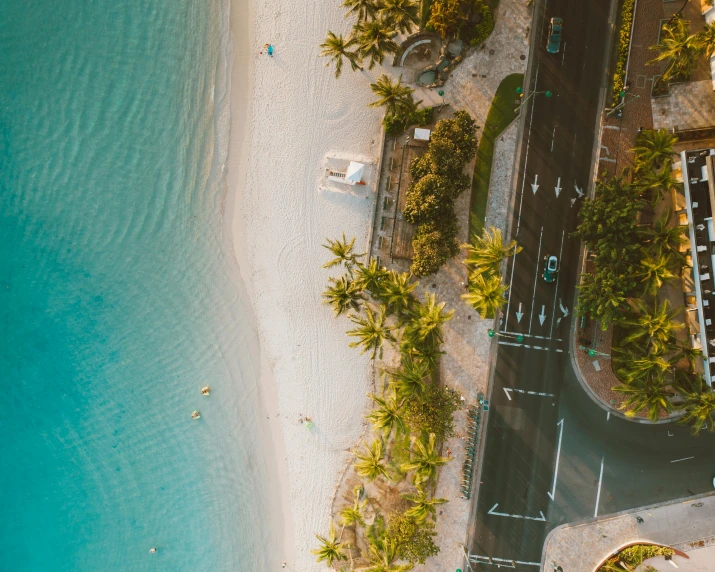 an aerial view of a beach with palm trees, pexels contest winner, happening, te pae, megacity streets seen from above, thumbnail, sand and sea