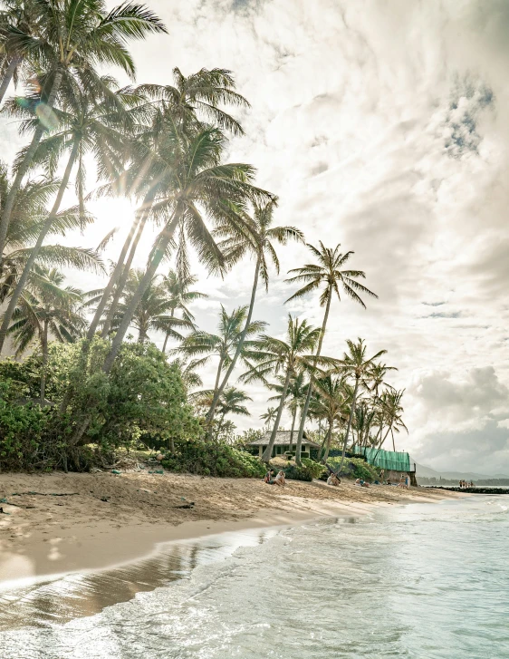 a man riding a surfboard on top of a sandy beach, coconut trees, from the distance, slide show, instagram post