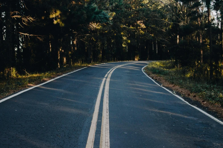 an empty road in the middle of a forest, sydney hanson, asphalt and metal, profile image, unsplash 4k