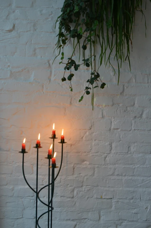 a group of candles sitting on top of a table, light and space, tall plants, atmospheric photograph, 165 cm tall, decorations