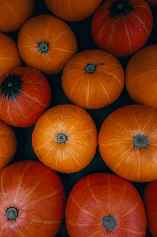 a bunch of oranges sitting on top of each other, spooky autumnal colours, all enclosed in a circle, lined up horizontally, soup