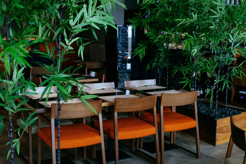 a dining room filled with wooden tables and orange chairs, inspired by Inshō Dōmoto, unsplash, sōsaku hanga, lush foliage, bamboo, thumbnail, koji morimoto shinjuku