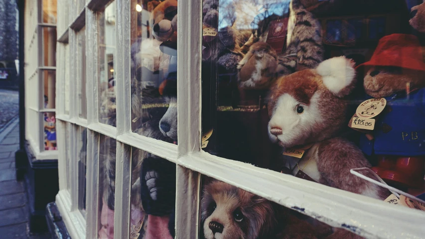 a store window filled with lots of stuffed animals, by Emma Andijewska, unsplash, faded, old shops, 🦩🪐🐞👩🏻🦳, 90s photo