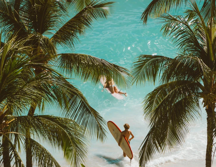 a couple of people that are in the water with surfboards, pexels contest winner, tropical trees, flatlay, avatar image, coconut palms